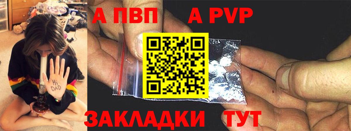 A PVP СК Киселёвск
