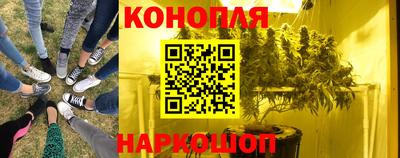 a pvp Краснодар